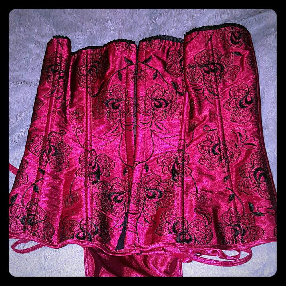 Embroidered Corset top & Panty